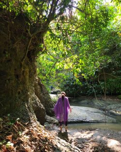 Shonaichari Trail