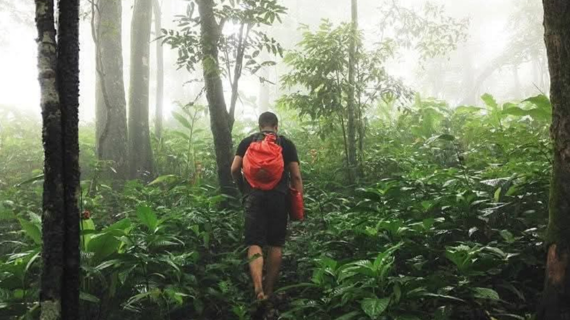 Rungrang & Kristong Trail